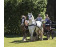 Groepsaccommodatie Het Caitwickerzand op de Veluwe met paardenweide VMP023